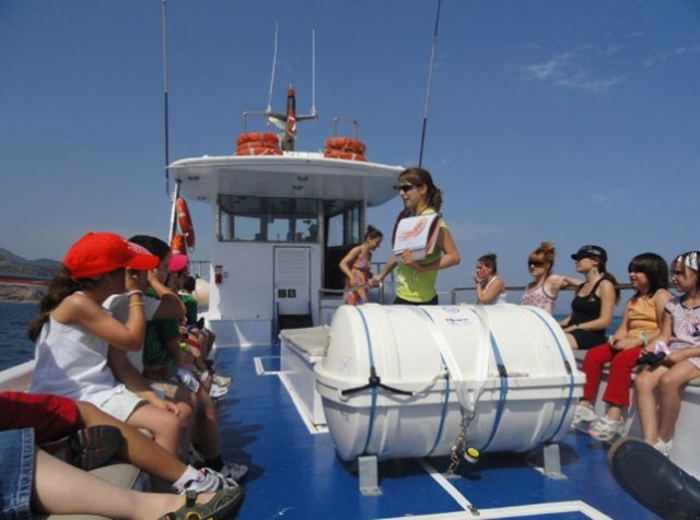 Hablando sobre las especies marinas